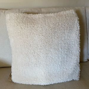 Pottery Barn Pillow Cover